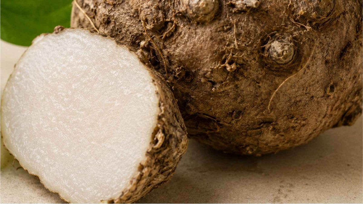 Sliced konjac root