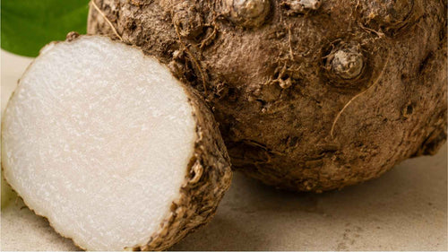 Konjac Root